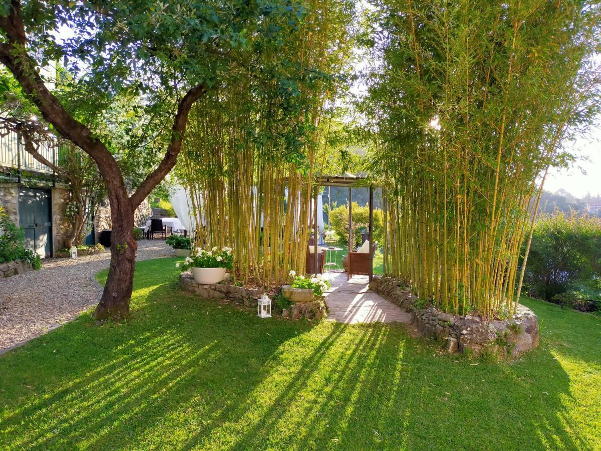 Agriturismo Casa Olivieri Sestri Levante Exteriér fotografie
